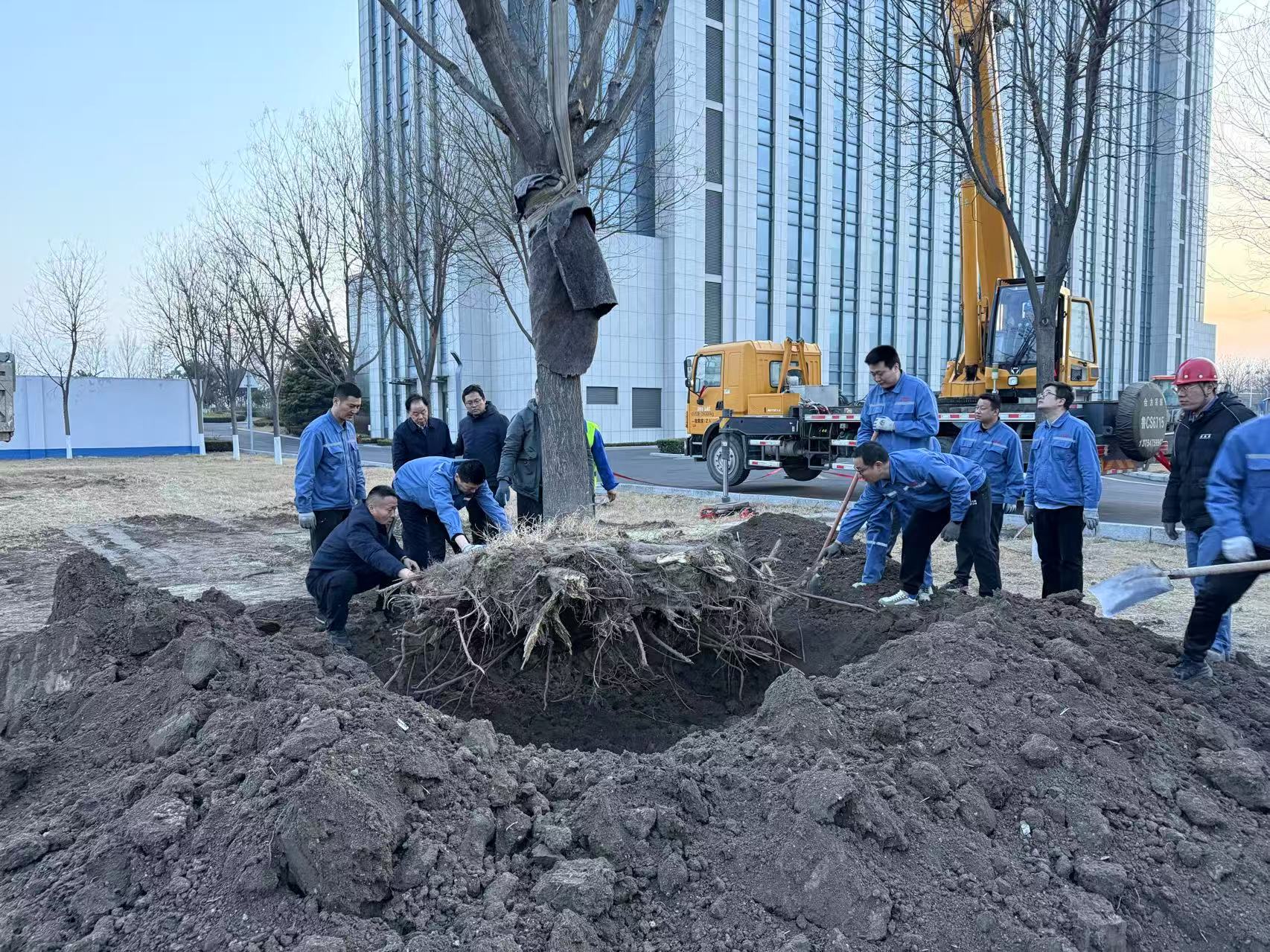 2025年3月1日97至尊国际干部职工协力栽下新春第一树